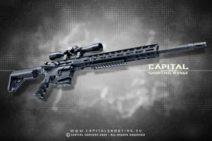 M4 DMR Rock River Wylde Coyote Budapest Tir fusil de précision